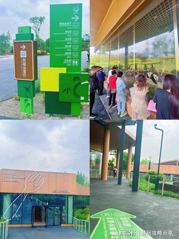 要多少钱 成都四日游【必读旅游指南】PG电子麻将胡了两个人去成都玩三天(图3)