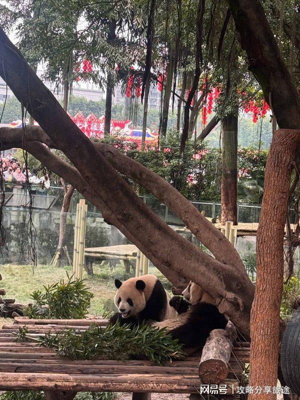 重庆七日游打卡景点+线路+费用-纯干麻将胡了试玩什么时候去重庆旅游最好(图2) 重庆七日游打卡景点+线路+费用-纯干麻将胡了试玩什么时候去重庆旅游最好(图2)