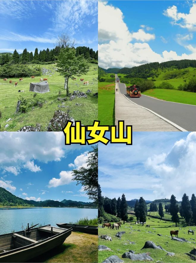 天5晚2000全含？这些玩法99%的人都不知道PG电子麻将胡了2试玩重庆亲子游预